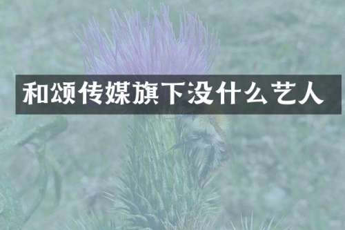 和颂传媒旗下没什么艺人
