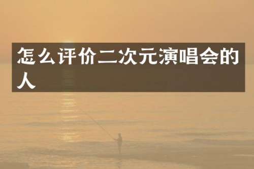 怎么评价二次元演唱会的人