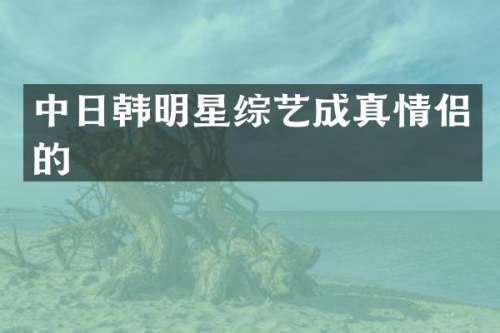 中日韩明星综艺成真情侣的