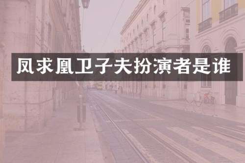 凤求凰卫子夫扮演者是谁