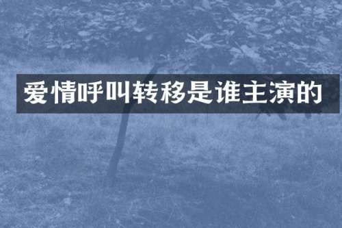 爱情呼叫转移是谁主演的