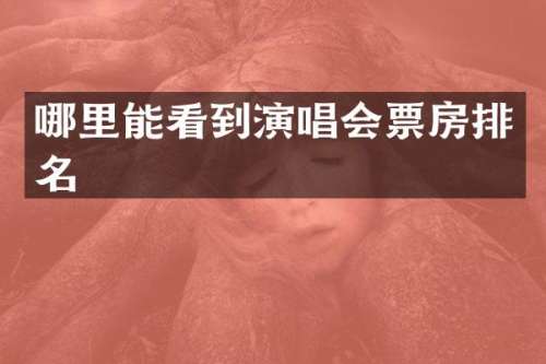 哪里能看到演唱会票房排名