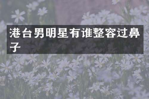 港台男明星有谁整容过鼻子