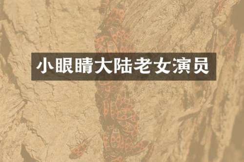 小眼睛大陆演员