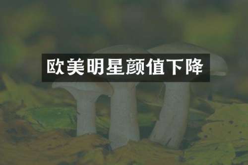 欧美明星颜值下降