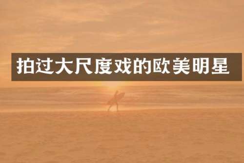 拍过戏的欧美明星