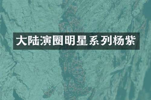 大陆演圈明星系列杨紫