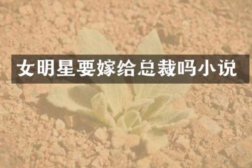 女明星要嫁给总裁吗小说
