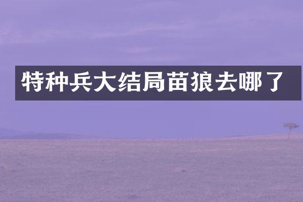 特种兵大结局苗狼去哪了