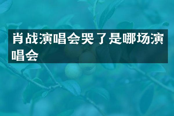 肖战演唱会哭了是哪场演唱会