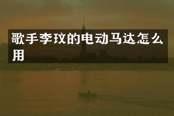 歌手李玟的电动马达怎么用