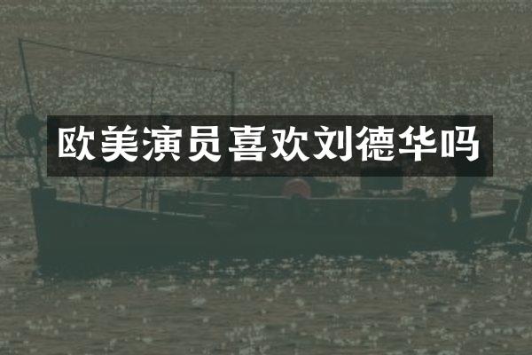 欧美演员喜欢刘德华吗