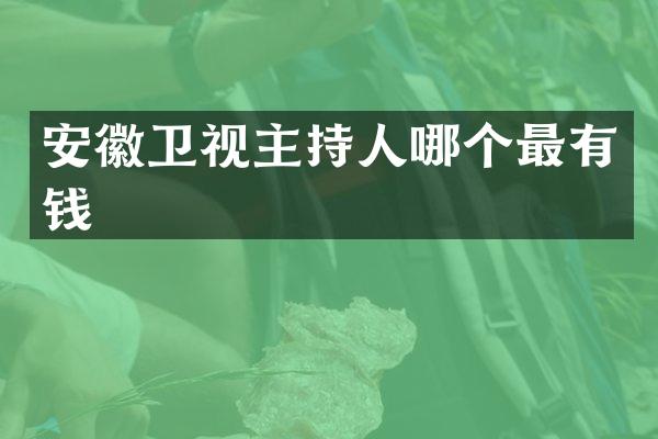 安徽卫视主持人哪个最有钱