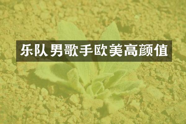 乐队男歌手欧美高颜值