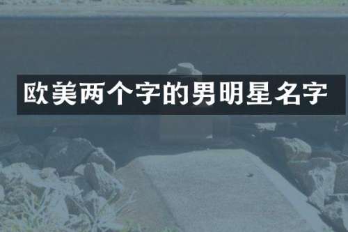 欧美两个字的男明星名字