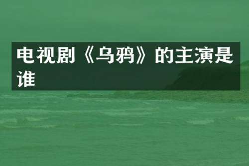 电视剧《乌鸦》的主演是谁