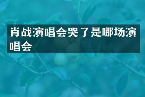 肖战演唱会哭了是哪场演唱会