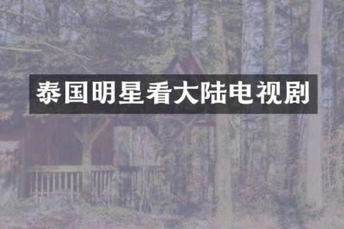 泰国明星看大陆电视剧