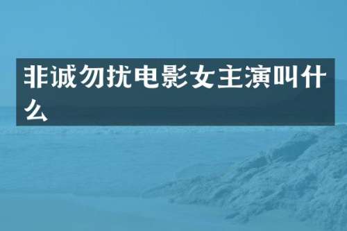 非诚勿扰电影女主演叫什么