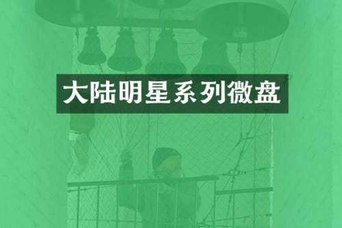 大陆明星系列微盘