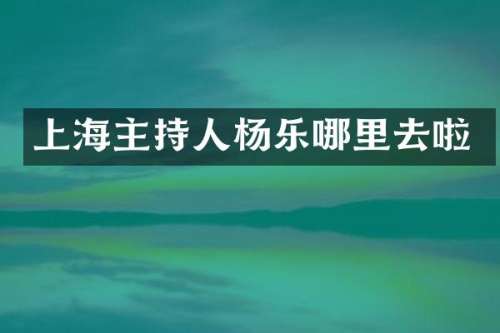 上海主持人杨乐哪里去啦