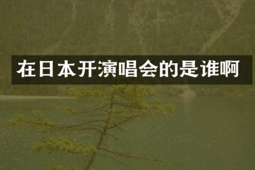 在日本开演唱会的是谁啊