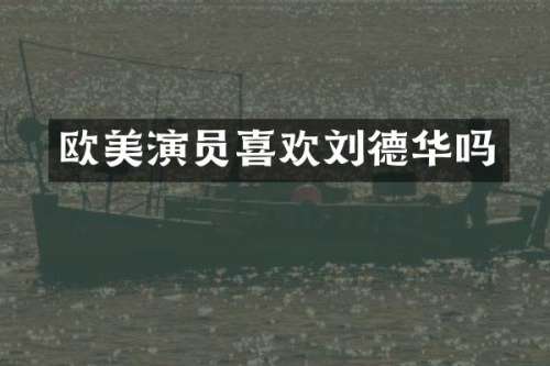 欧美演员喜欢刘德华吗