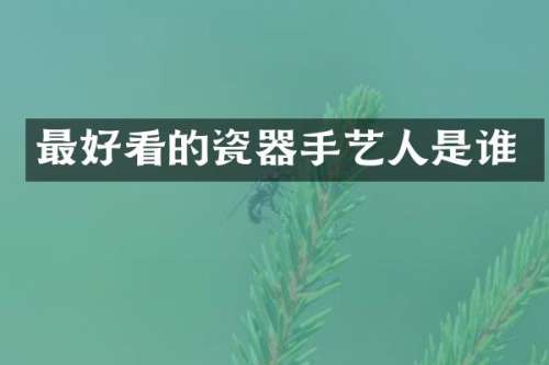 最好看的瓷器手艺人是谁