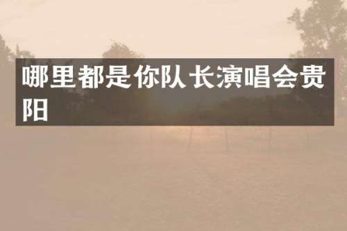 哪里都是你队长演唱会贵阳