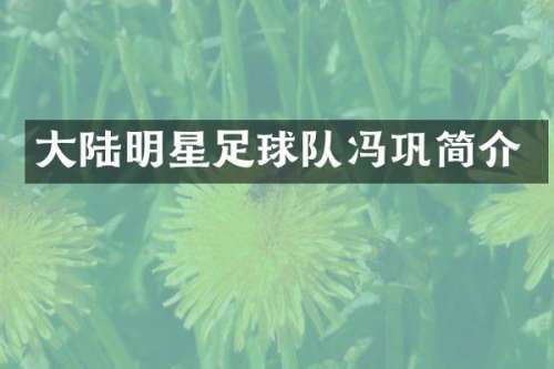 大陆明星足球队冯巩简介