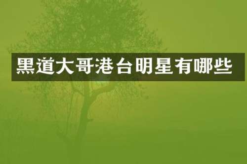 黑道大哥港台明星有哪些
