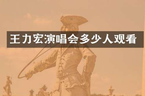 王力宏演唱会多少人观看