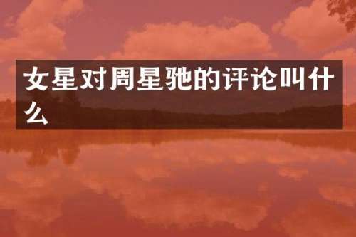 女星对周星驰的评论叫什么