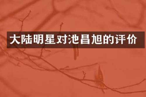 大陆明星对池昌旭的评价