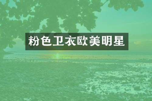 粉色卫衣欧美明星