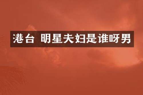 港台 明星夫妇是谁呀男