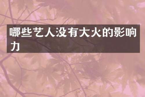 哪些艺人没有大火的影响力