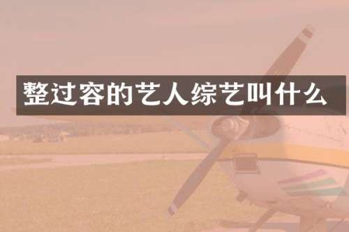 整过容的艺人综艺叫什么