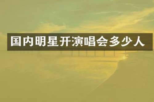 国内明星开演唱会多少人