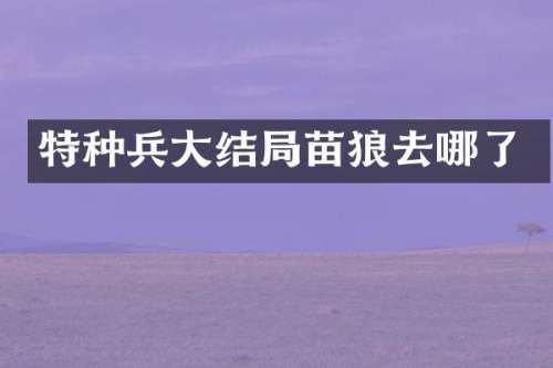 特种兵大结局苗狼去哪了