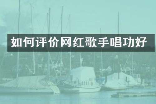 如何评价网红歌手唱功好