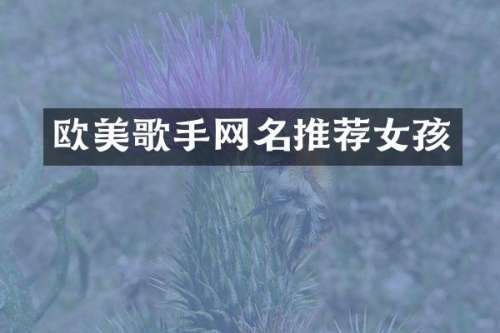 欧美歌手网名推荐女孩