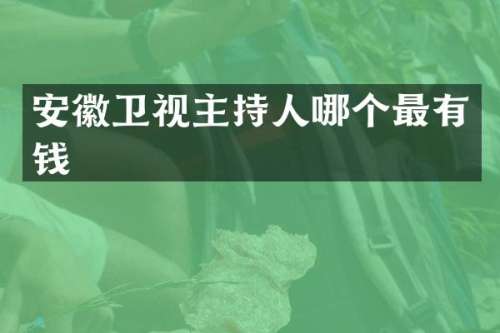 安徽卫视主持人哪个最有钱