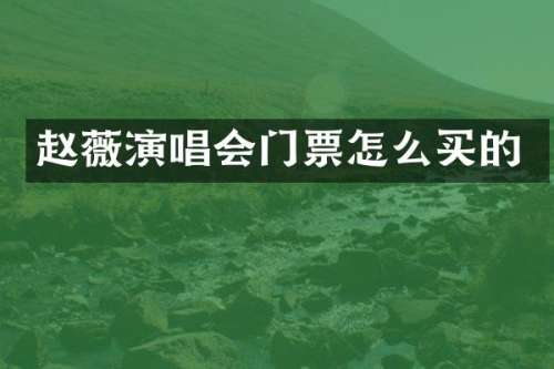 赵薇演唱会门票怎么买的