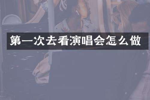 第一次去看演唱会怎么做