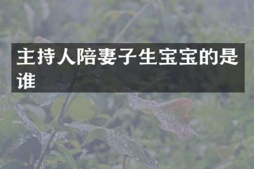 主持人陪妻子生宝宝的是谁