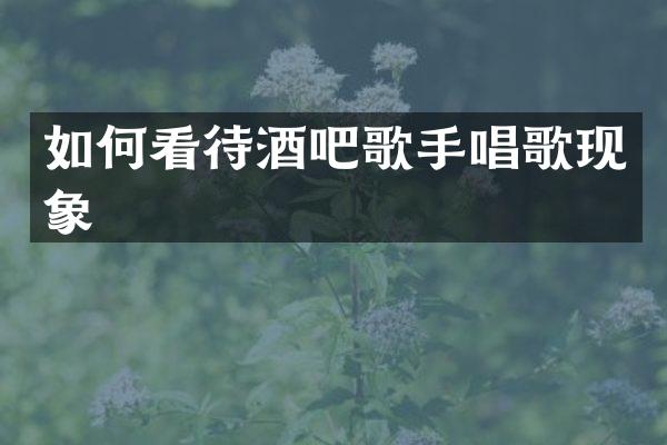 如何看待酒吧歌手唱歌现象