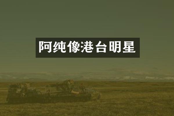 阿纯像港台明星