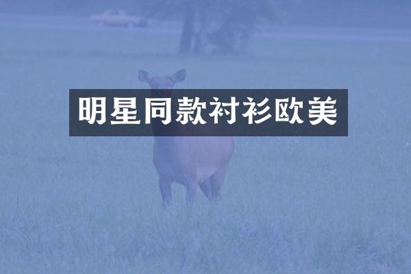 明星同款衬衫欧美