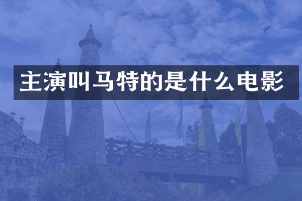 主演叫马特的是什么电影